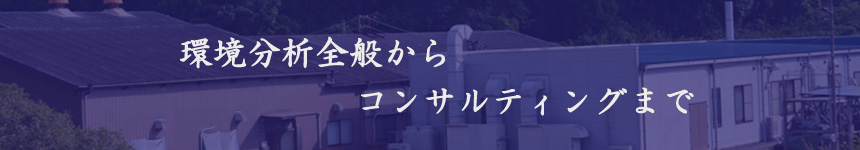 環境分析全般からコンサルティングまで
